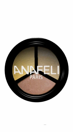 Trio De Fard à Paupières Marron Or